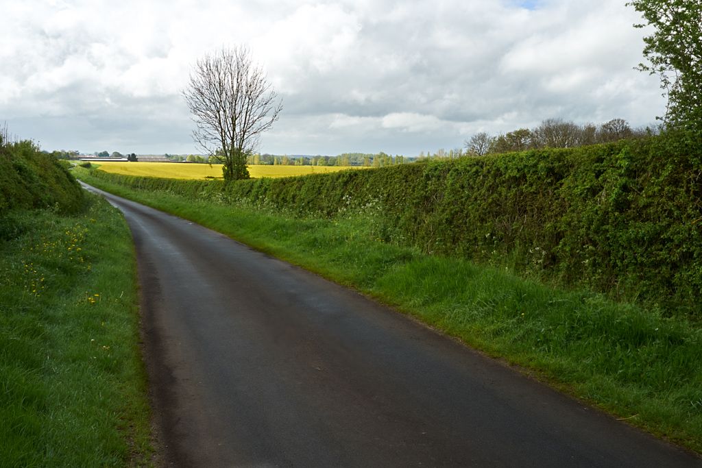 cotswolds, england, ewen, field, rapeseed, gloucestershire