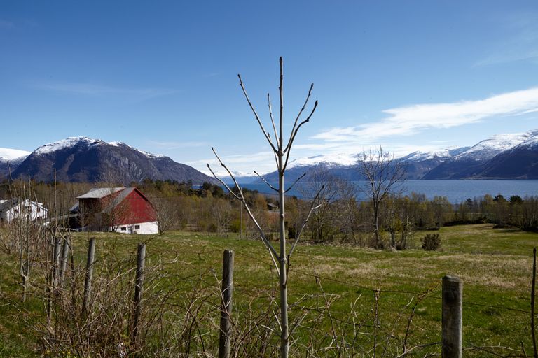 Sognefjord, What is a fjord