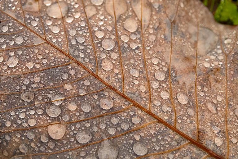 autumn wiltshire walks, visit wiltshire